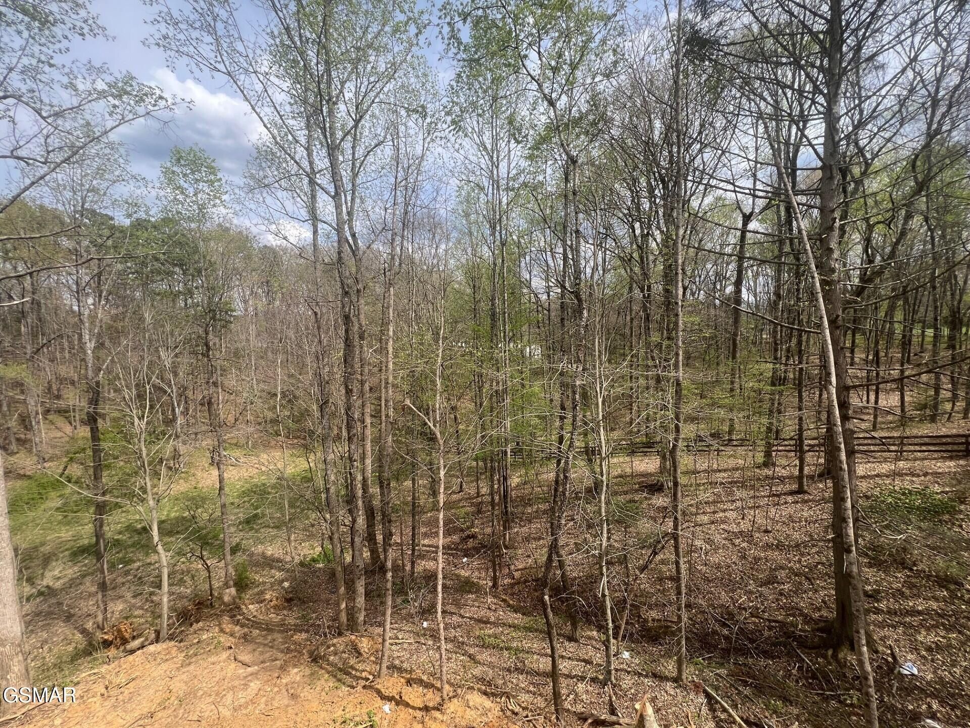 2427 Iron Forge Way. Sevierville, TN 37876