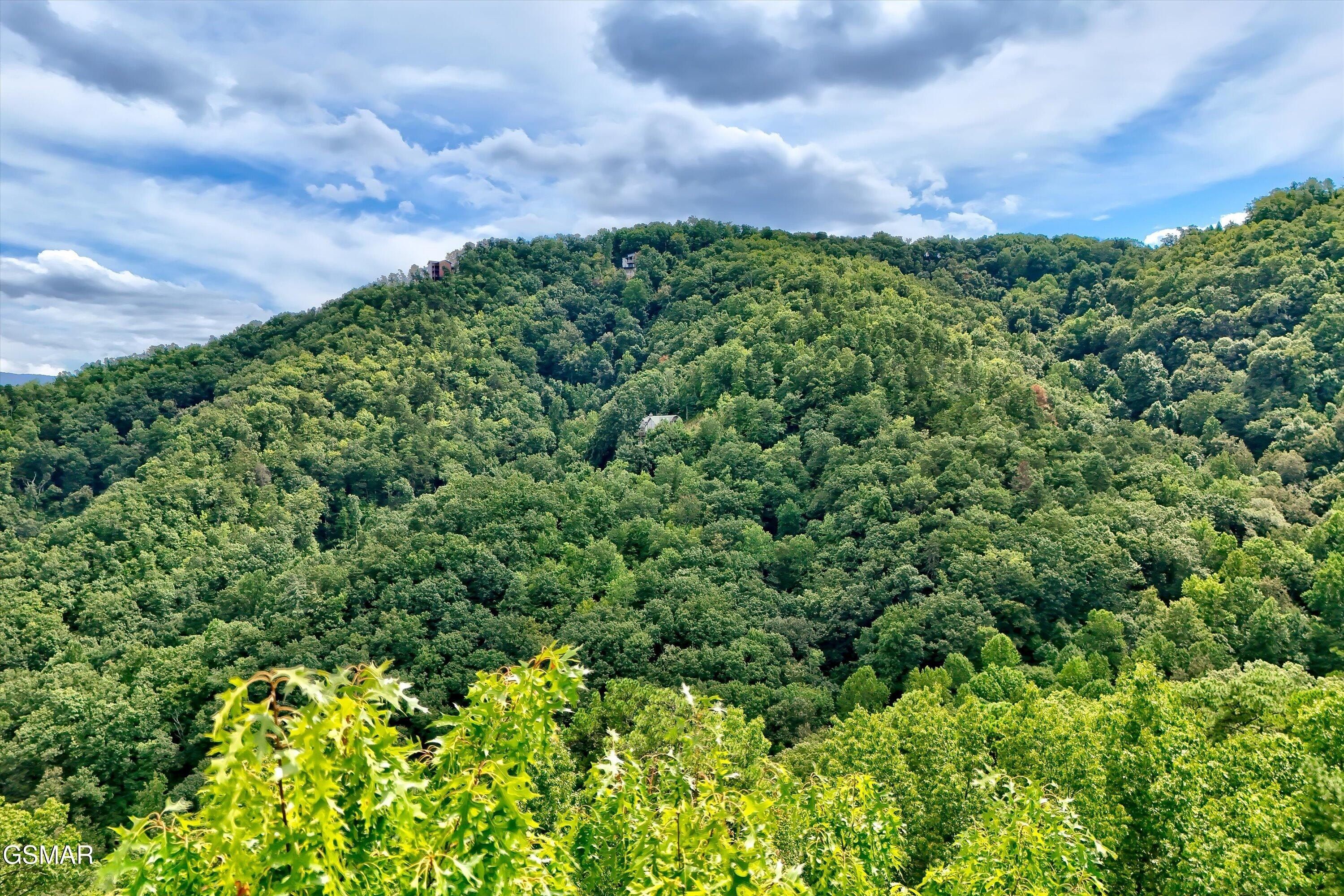 2743 Overholt Trail. Sevierville, TN 37876