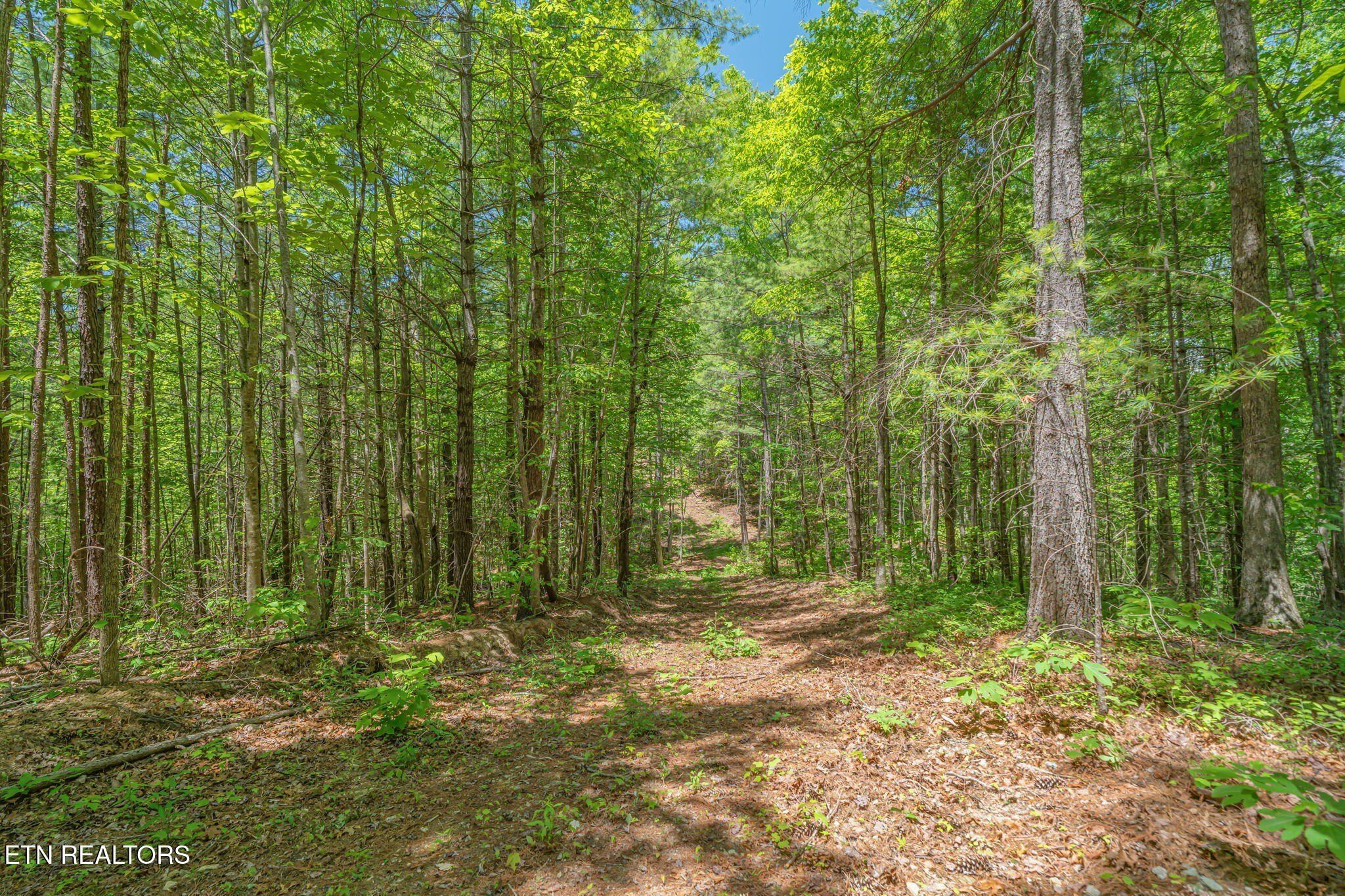 2380 Rafter Rd. Tellico Plains, TN 37385