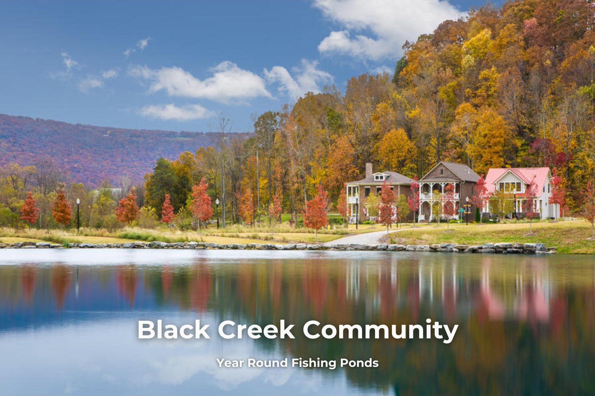 4723 Ravinia Lane. Chattanooga, TN 37419