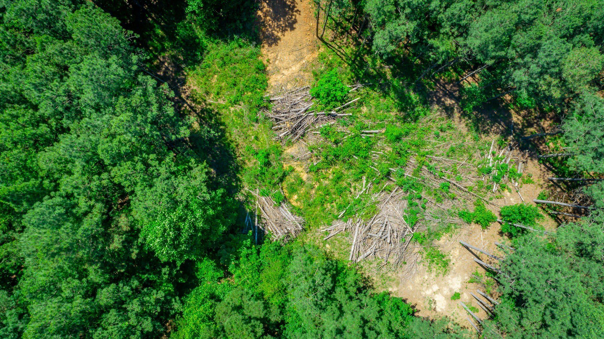 1163 Split Rail Way. Guild, TN 37340
