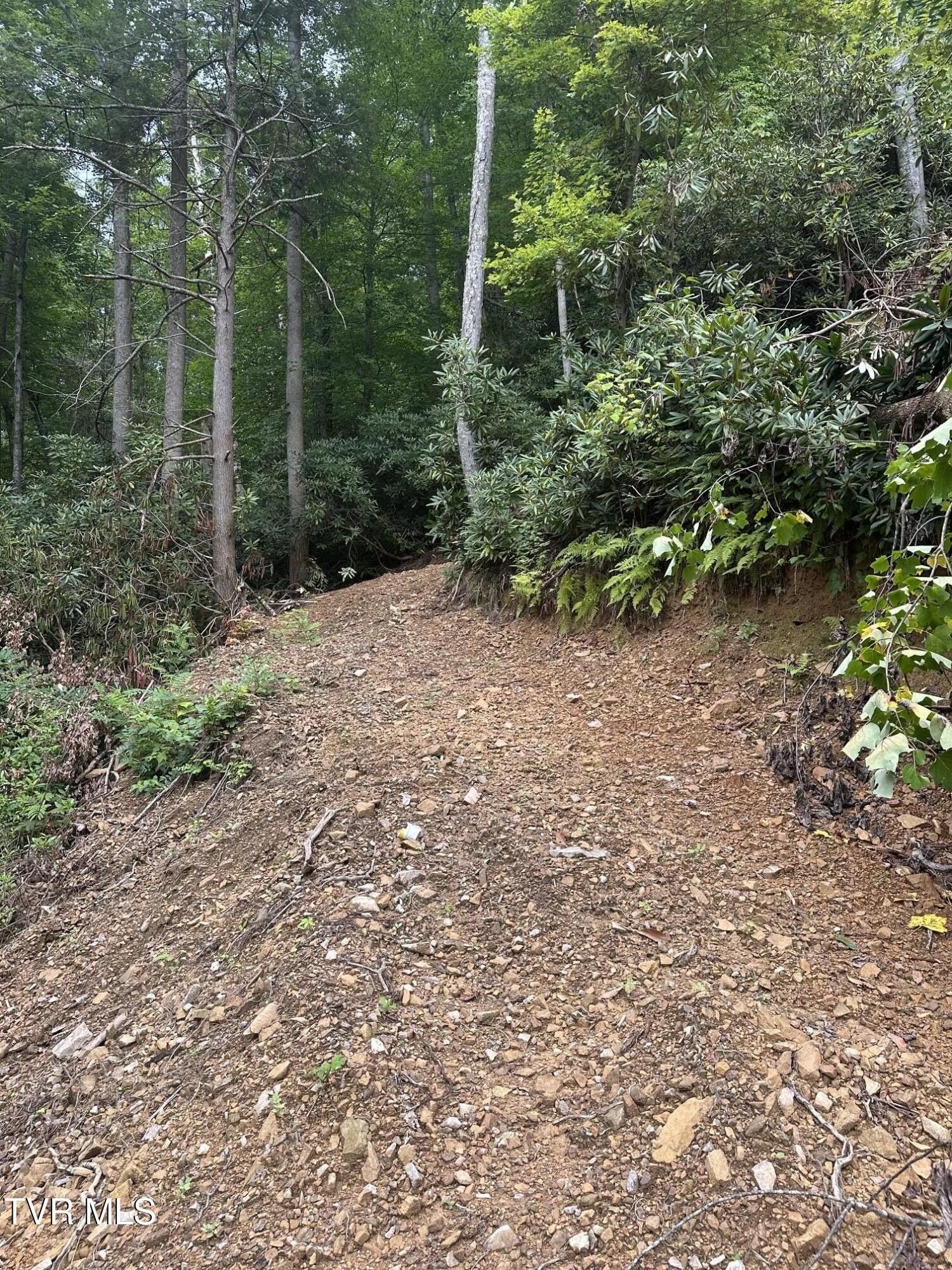 Old Highway Road. Erwin, TN 37650