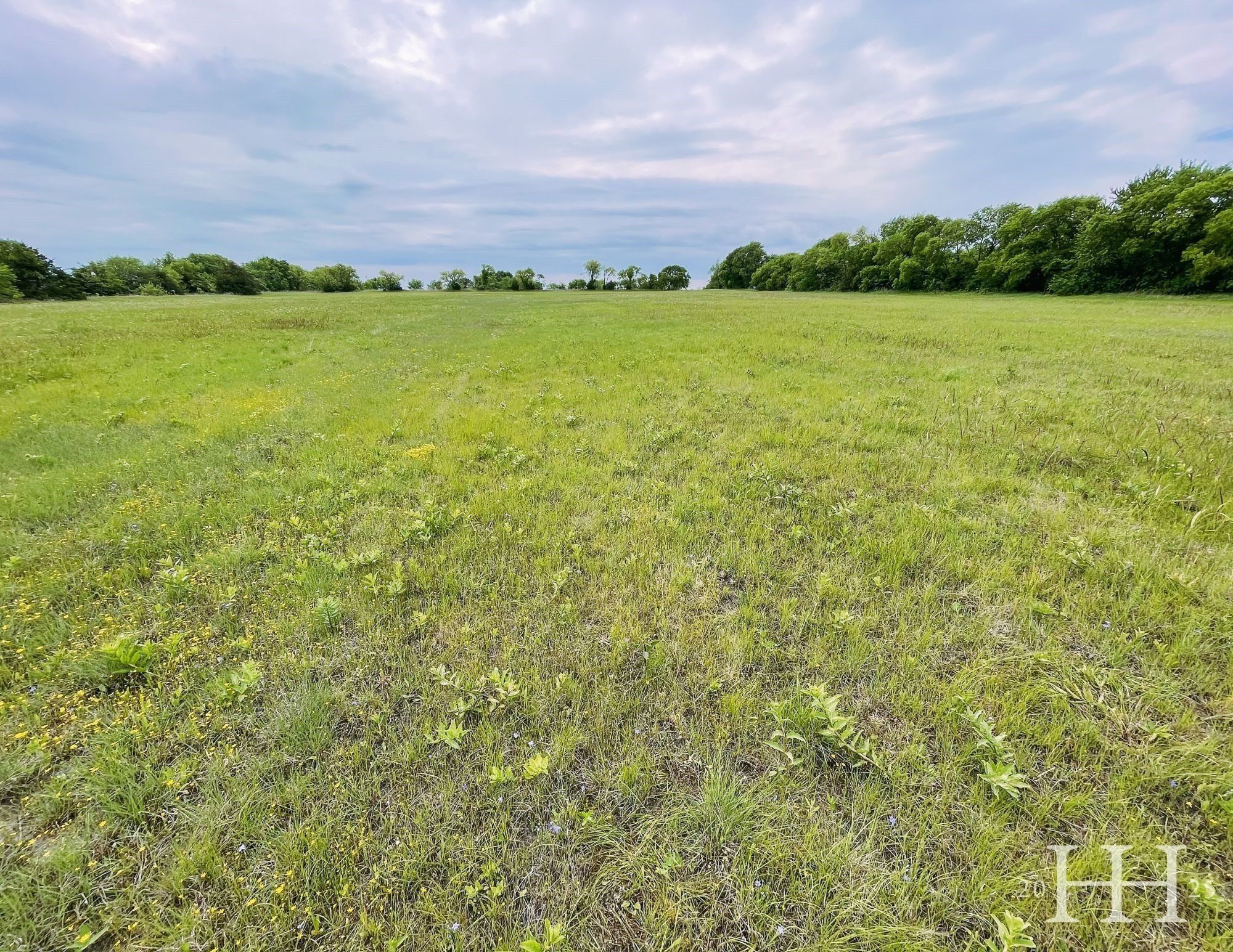 1387 Mcconnell Road. Gunter, TX 75058