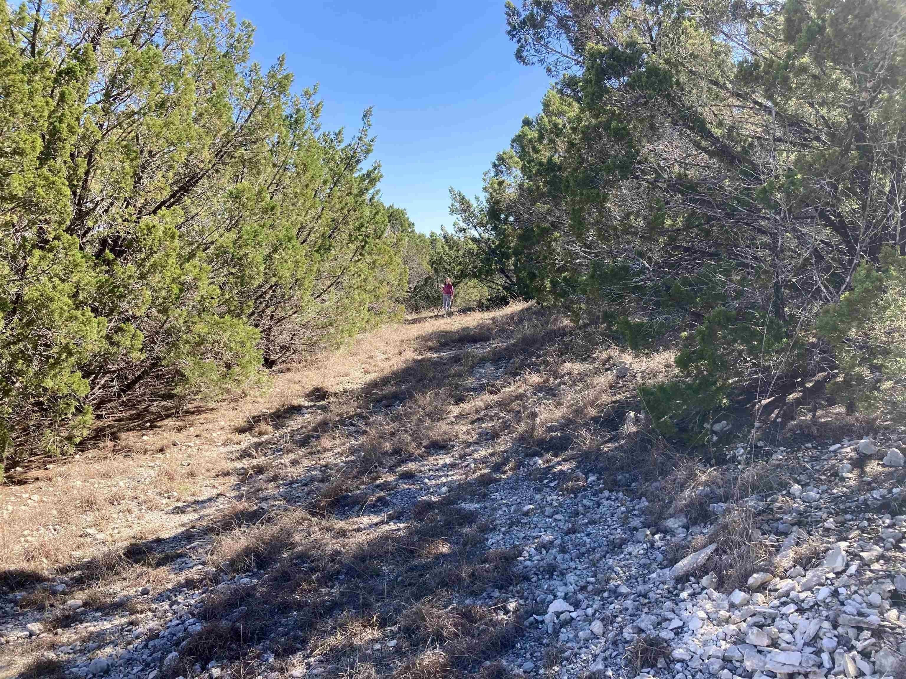 Whitewater Drive Lot 231. Bertram, TX 78605