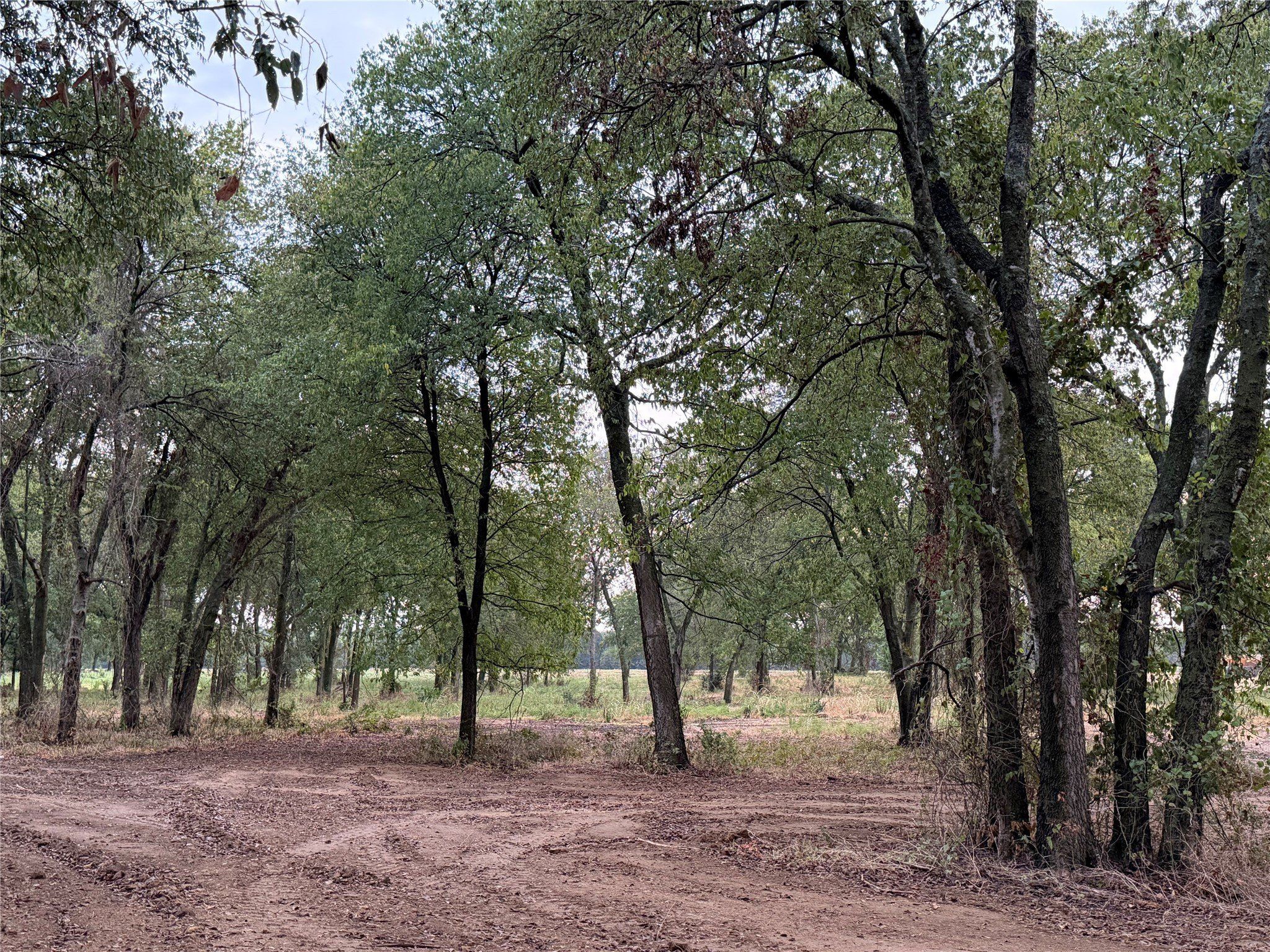 4808 County Road 707. Alvarado, TX 76009
