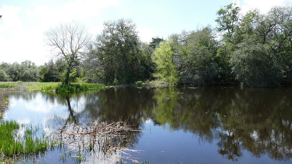 1324 Ladewig Lane. Schulenburg, TX 78956