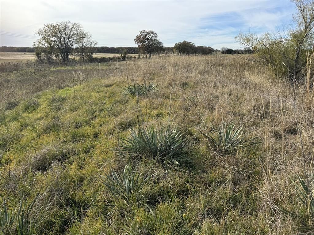 Tbd A Fm 1655. Chico, TX 76431