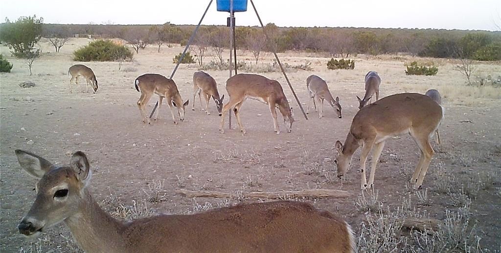 18099 Fm 2134. Millersview, TX 76862