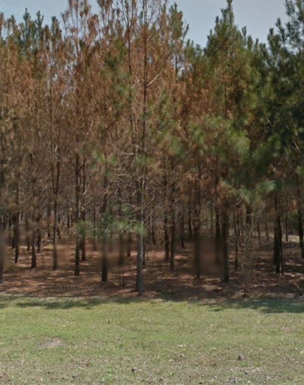 106 Everwood Court. Lufkin, TX 75904