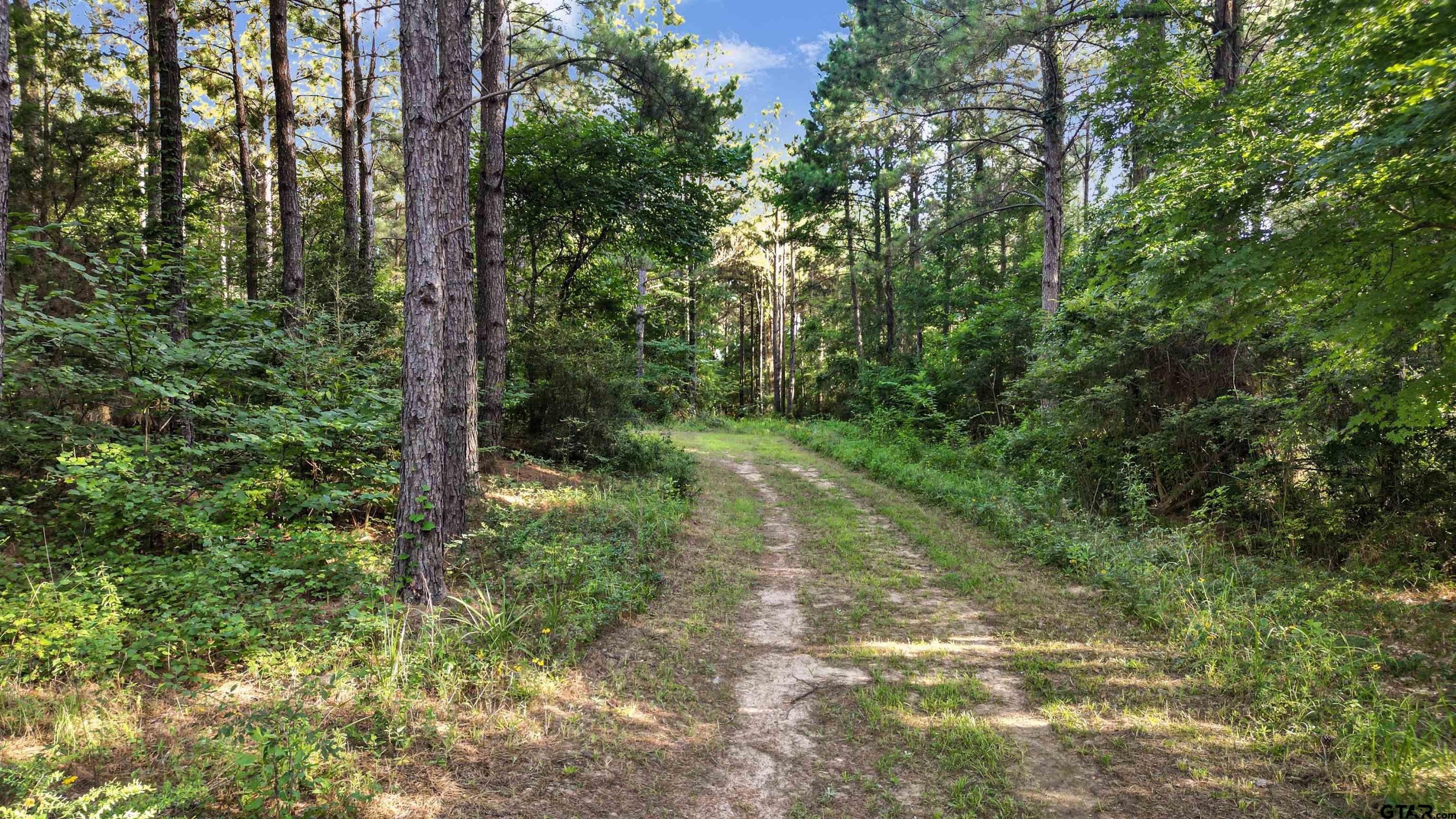 Tbd 1757 Acres Fm 2274. Troup, TX 75789