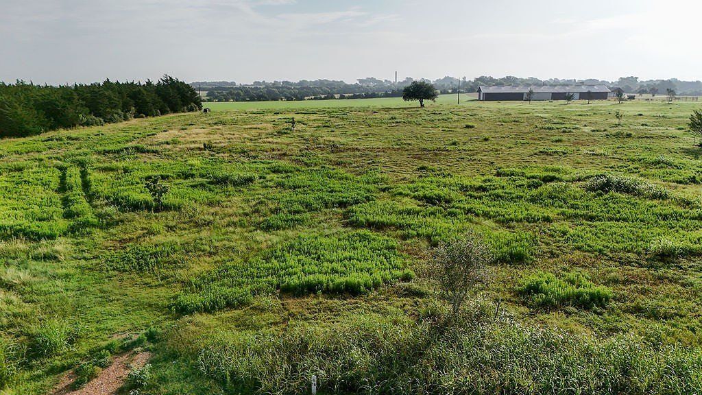 400 Vineyard View Trail. Carmine, TX 78932