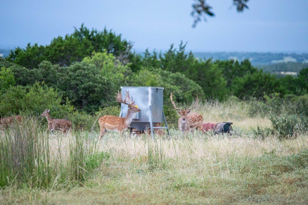 El Rincon Road. Mountain Home, TX 78058