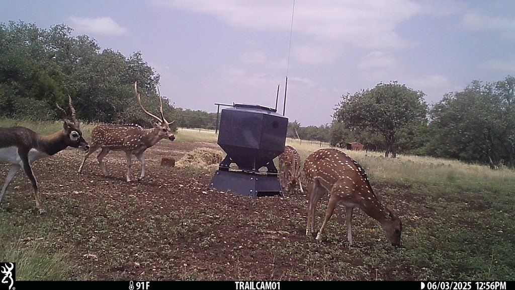 252 El Rincon Road. Mountain Home, TX 78058