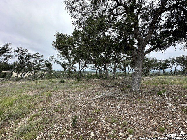 675 Butler Oaks. Bulverde, TX 78163