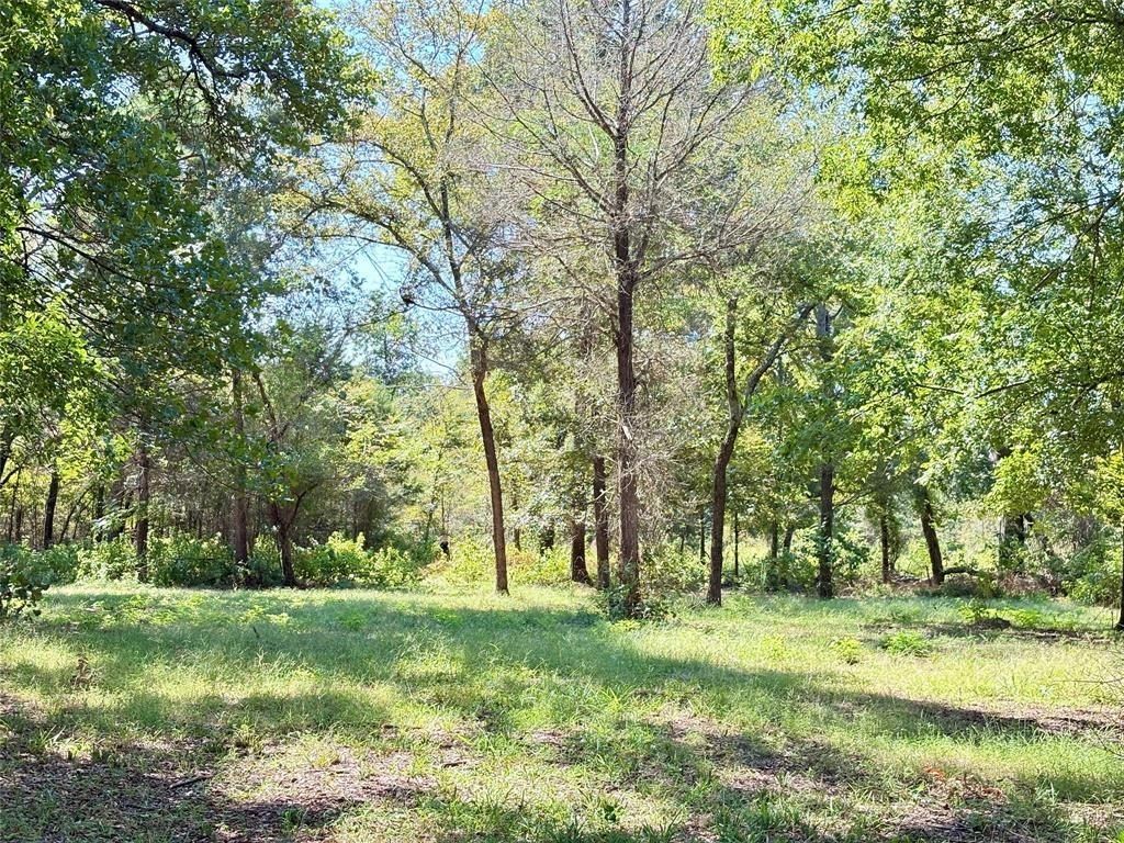 1468 Vz County Road 4207. Canton, TX 75103