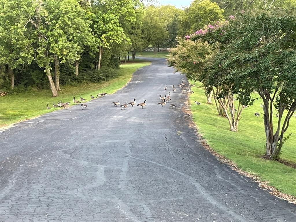 90 Woodland Hills Drive. Sherman, TX 75092