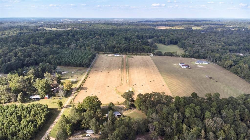 869 Private Road 3168. Gilmer, TX 75645