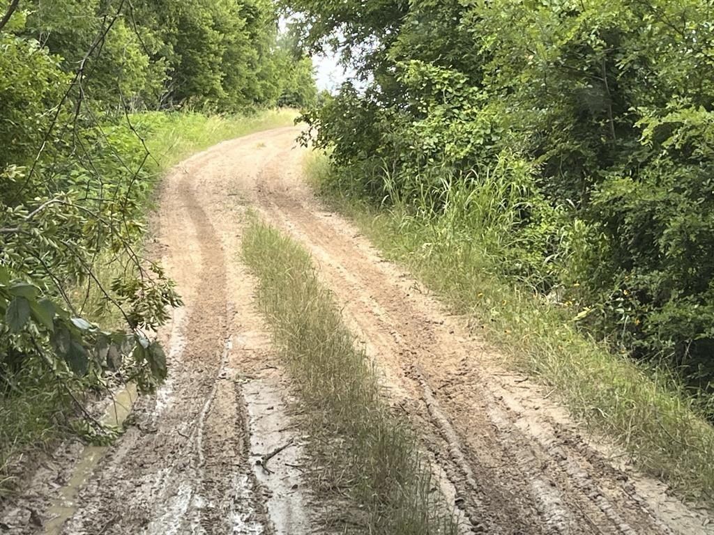 Cr 4365. Milford, TX 76670