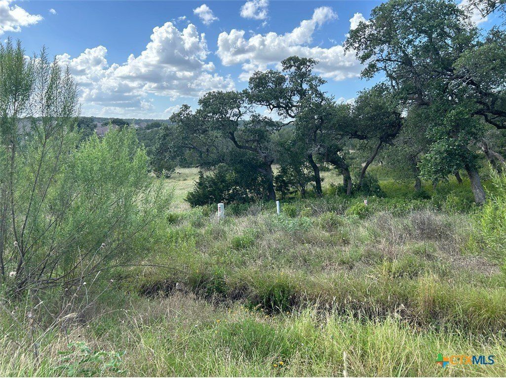 1728 Chardonnay. New Braunfels, TX 78132