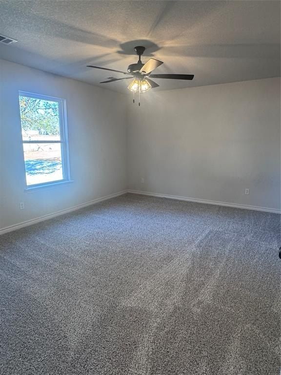 1009 Bradshaw Court. Springtown, TX 76082