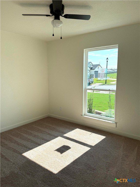 3804 Oglala Trail. Temple, TX 76502