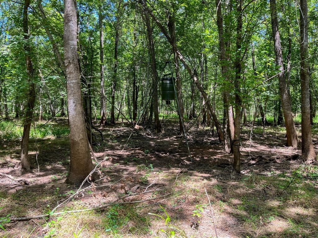0 Private Road 1428. Centerville, TX 75833