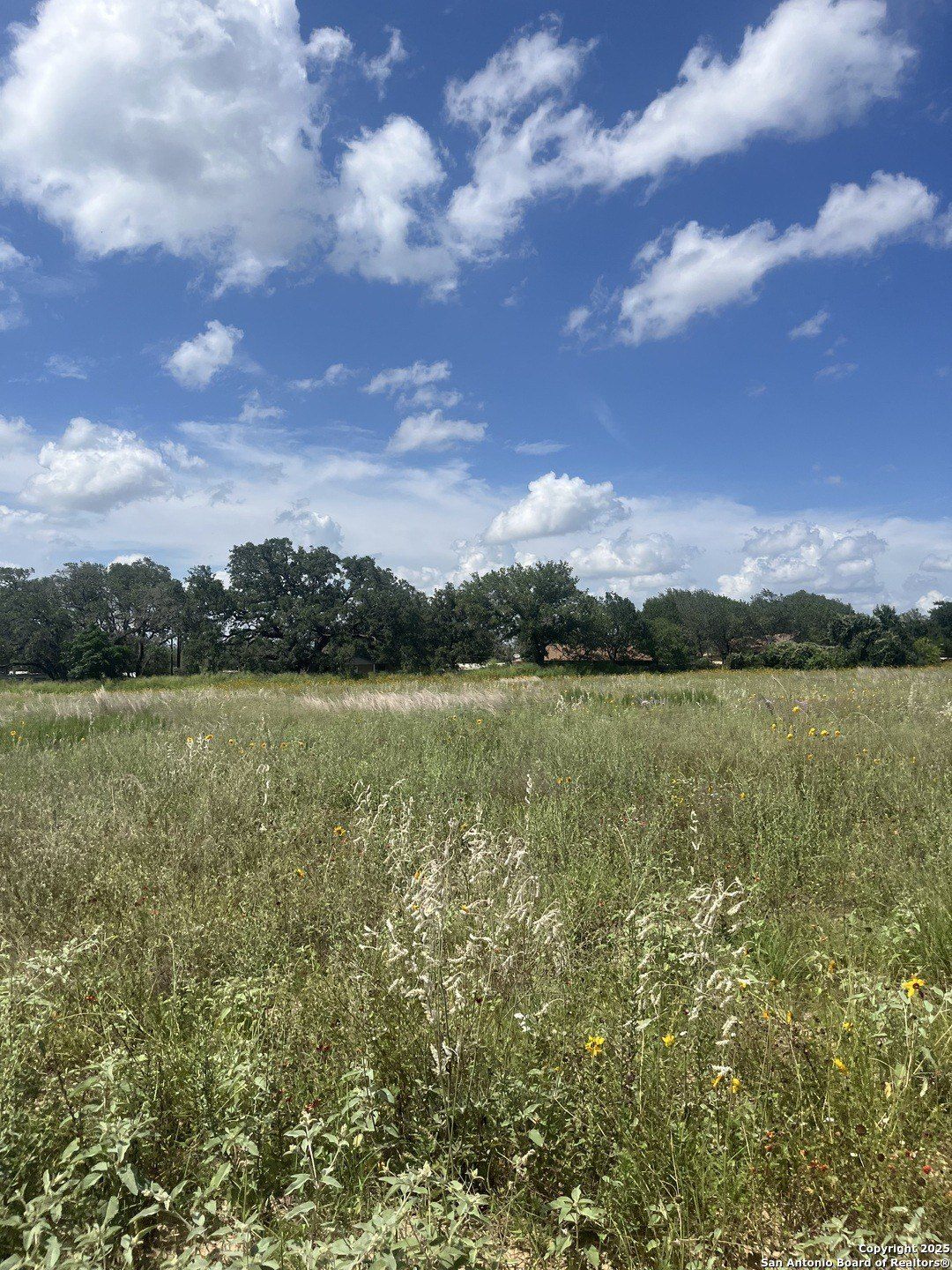 Fm 476 Lot 14 10392. Poteet, TX 78065