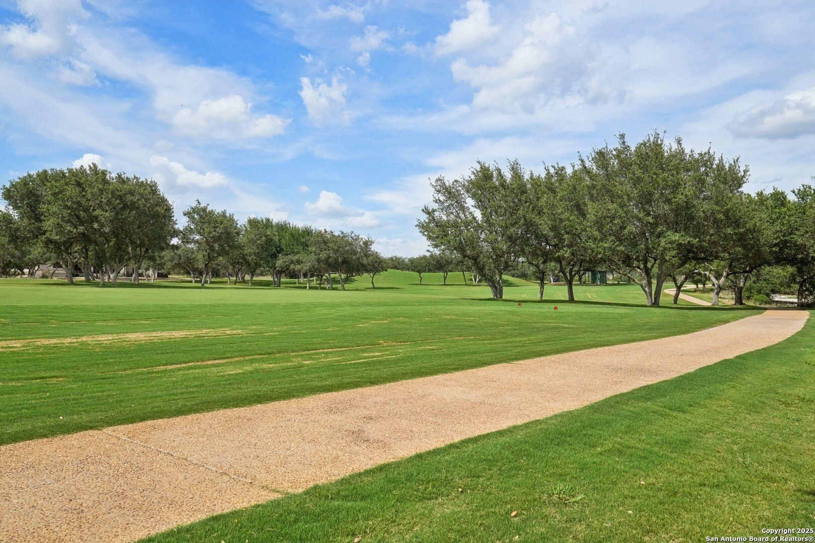 411 George Dolson. Blanco, TX 78606