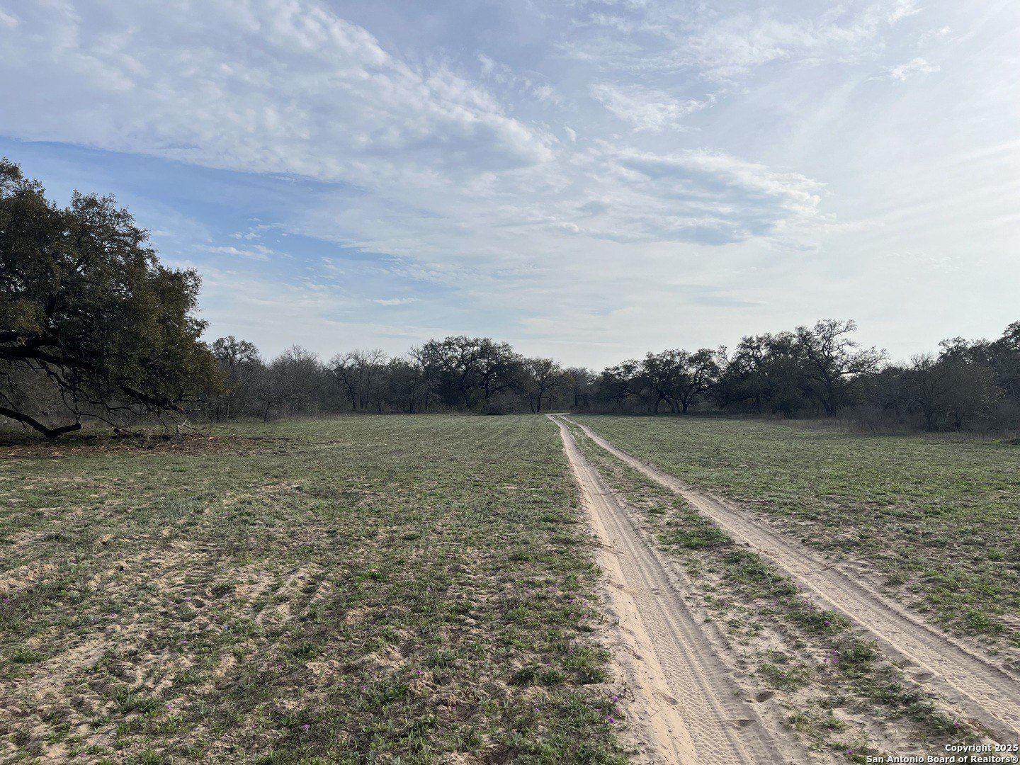 Fm 476 Lot 3 10392. Poteet, TX 78065
