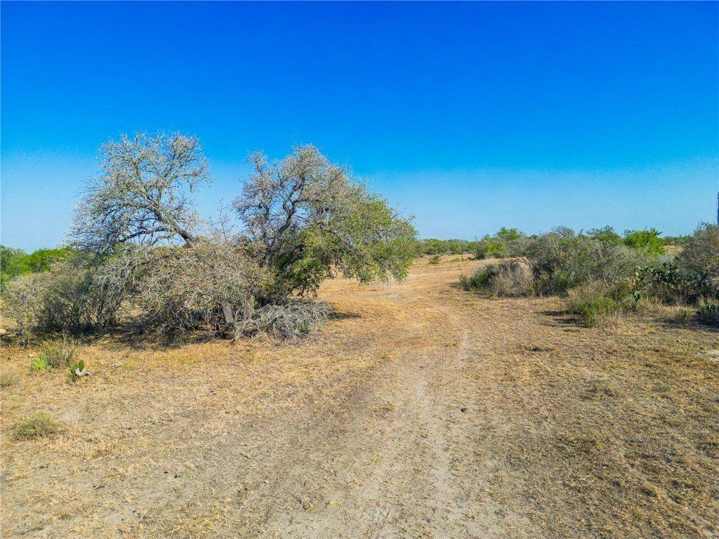 31893251 County Road 407. Falls City, TX 78113