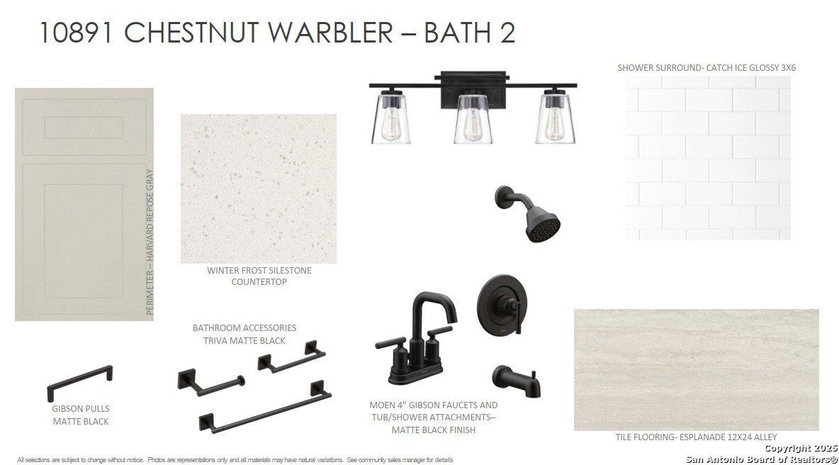 10891 Chestnut Warbler. New Braunfels, TX 78132