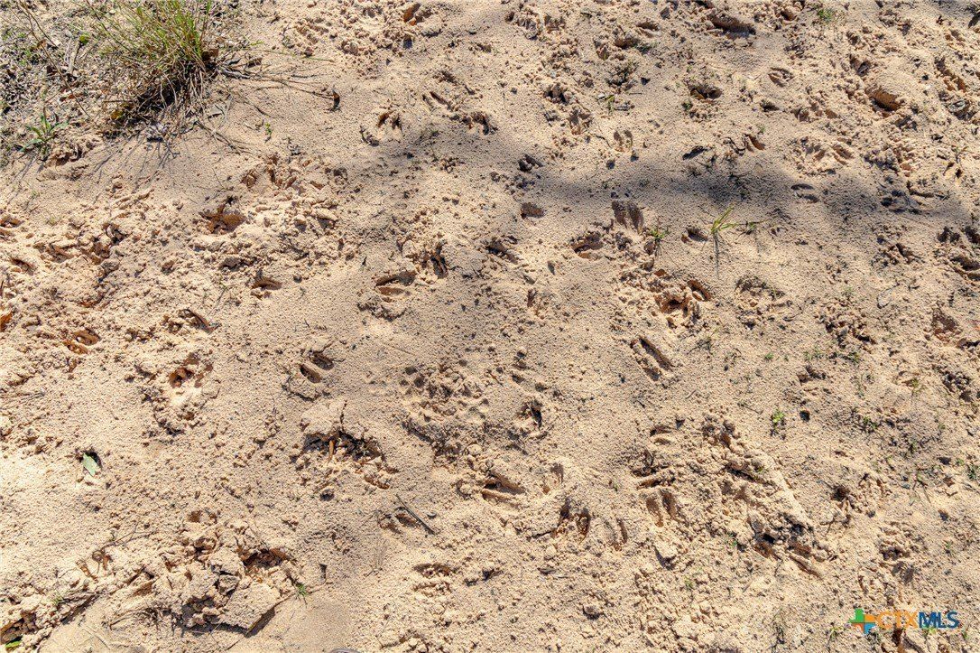 725 Private Road 1581. Hallettsville, TX 77964