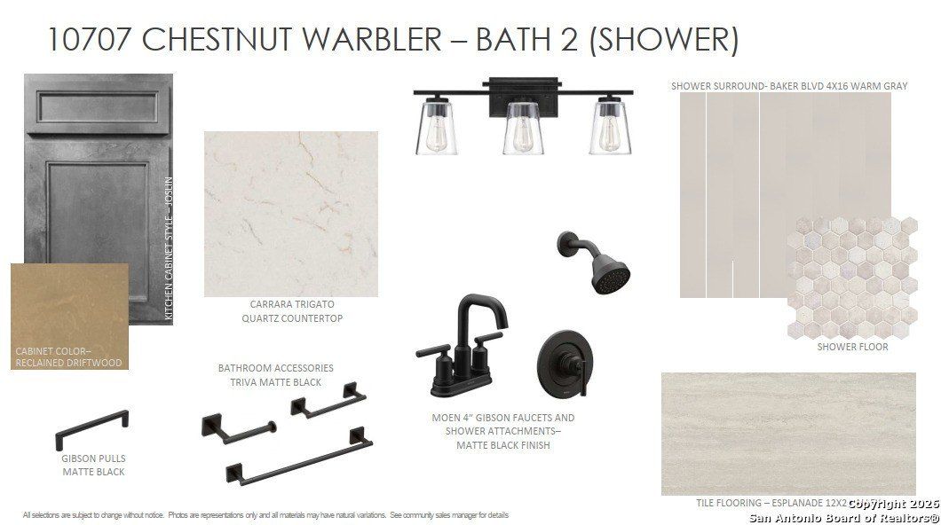 10707 Chestnut Warbler. New Braunfels, TX 78132