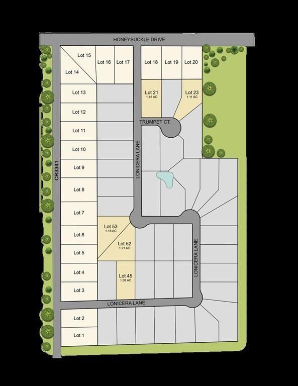 119 Trumpet Court. Paradise, TX 76073