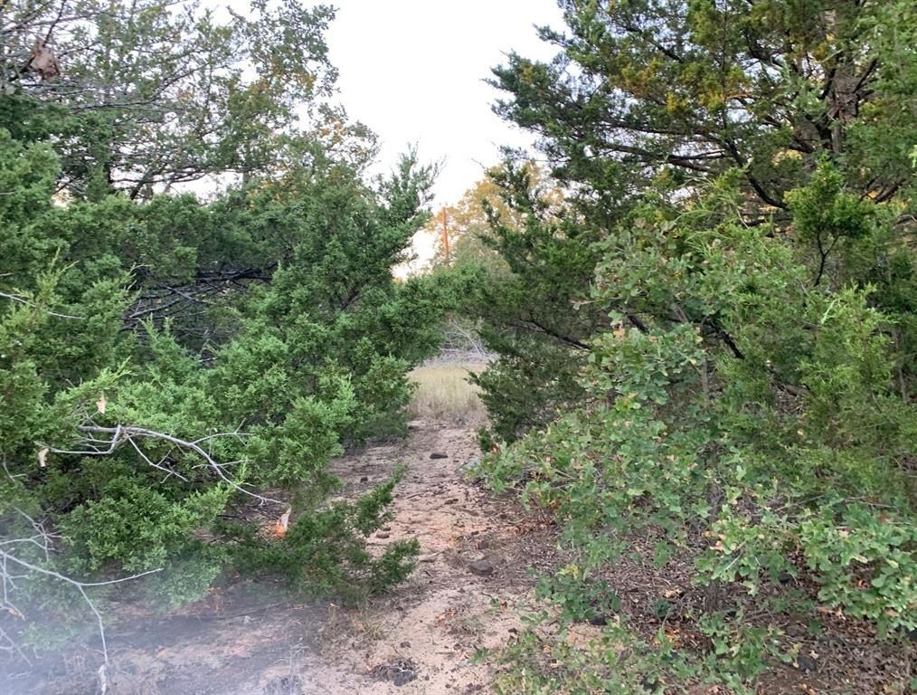 3325 Fm 3164. Gainesville, TX 76240