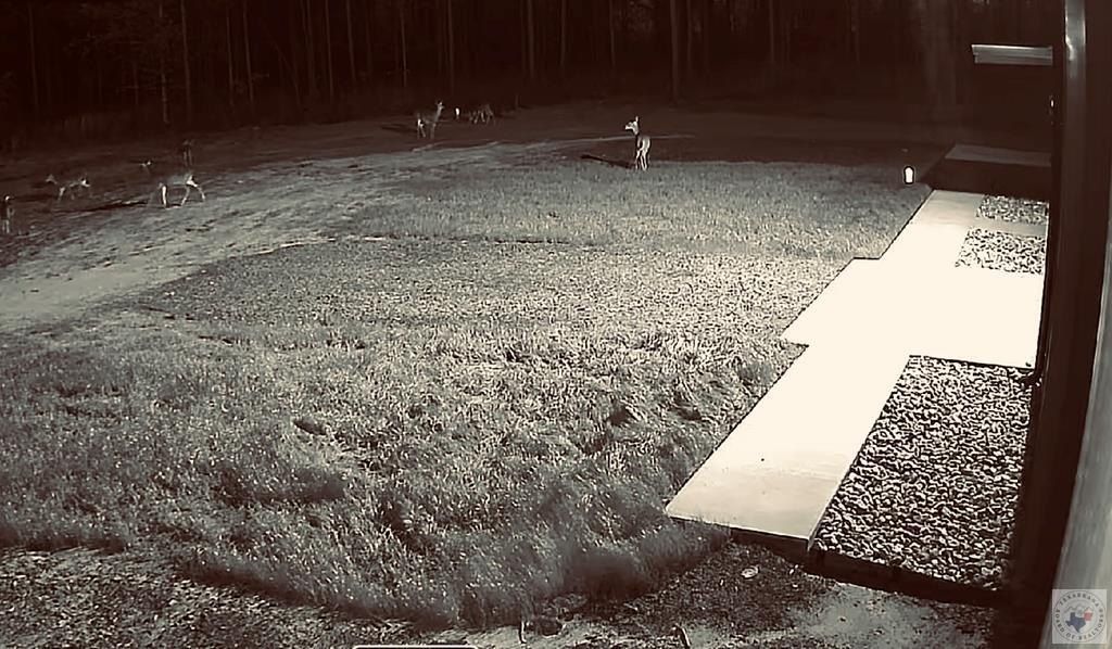 1750 Cr 3659. Queen City, TX 75572