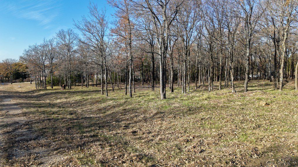 100 Oakmont Dr. Mabank, TX 75147