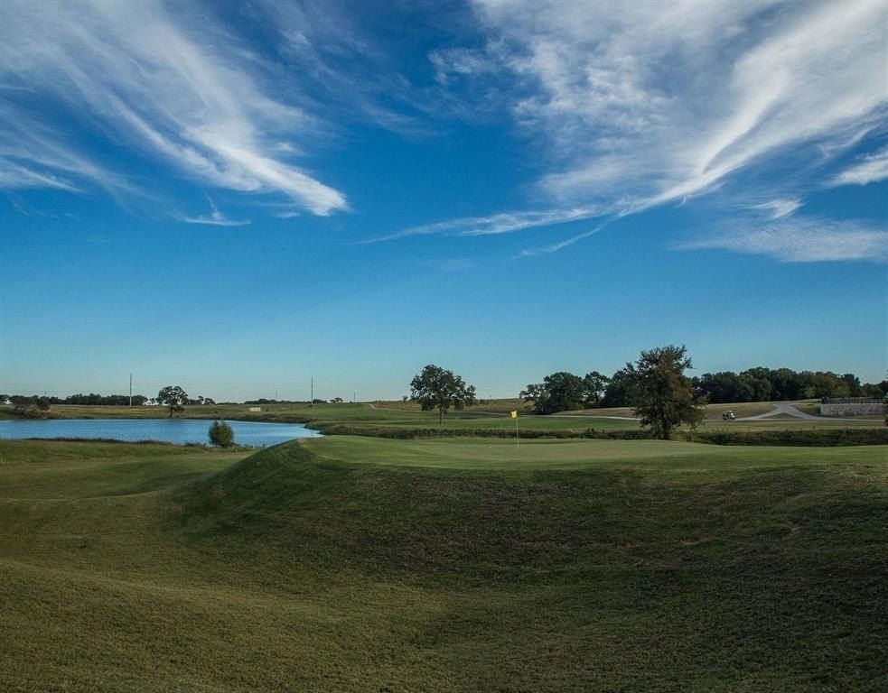 Birdie Street. Gunter, TX 75058