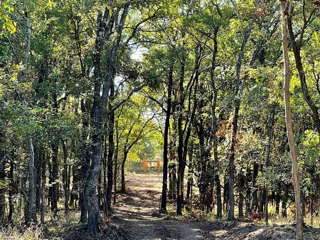 Lot 28 Vest Lane. Pilot Point, TX 76258
