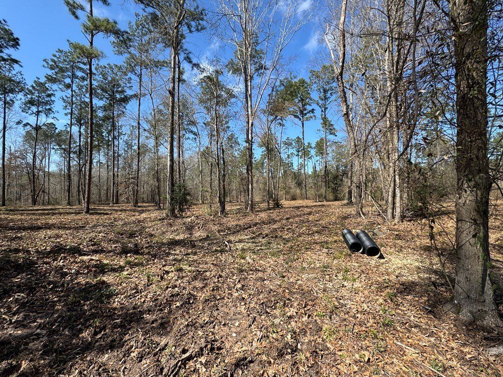 0103 Old Fm 705. Woodville, TX 75979