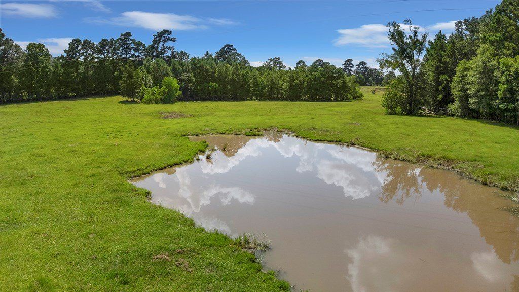 9429 Fm 83. Pineland, TX 75968