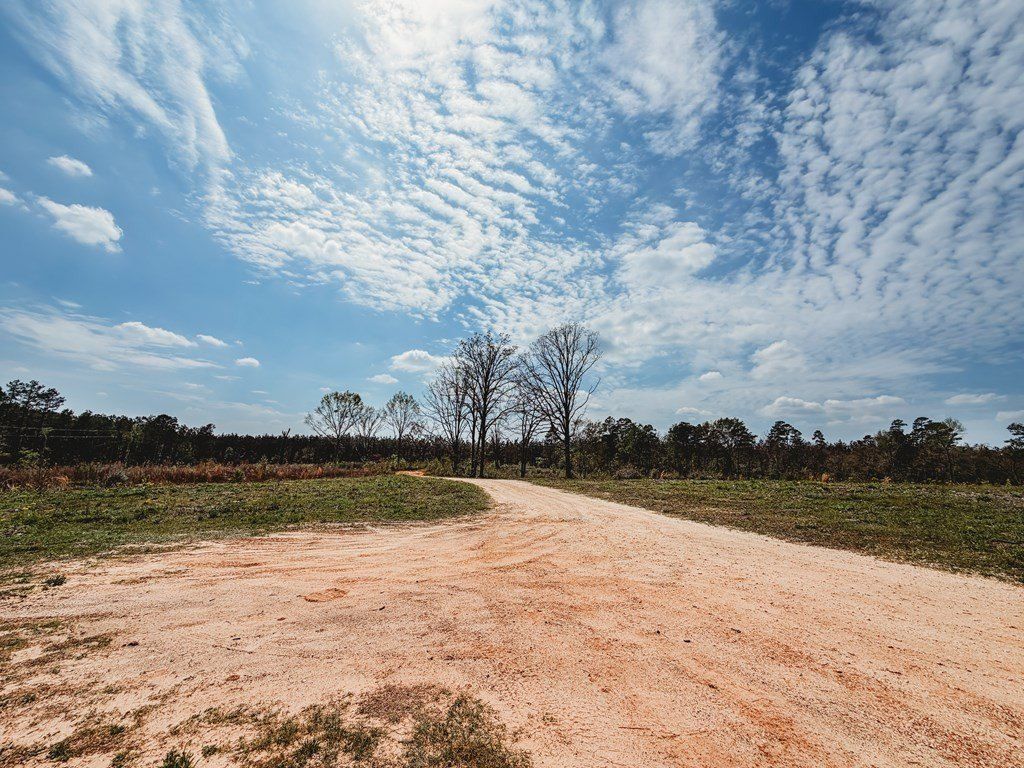 4100 Cr 915. Nacogdoches, TX 75965