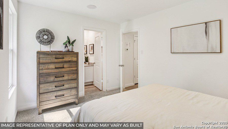 14824 Gold Lace Cactus. San Antonio, TX 78221