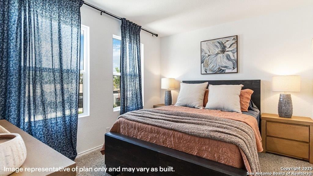 14844 Gold Lace Cactus. San Antonio, TX 78221