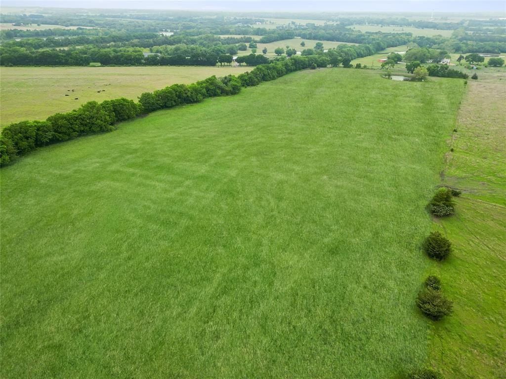 4130 County Road 4130. Bonham, TX 75418