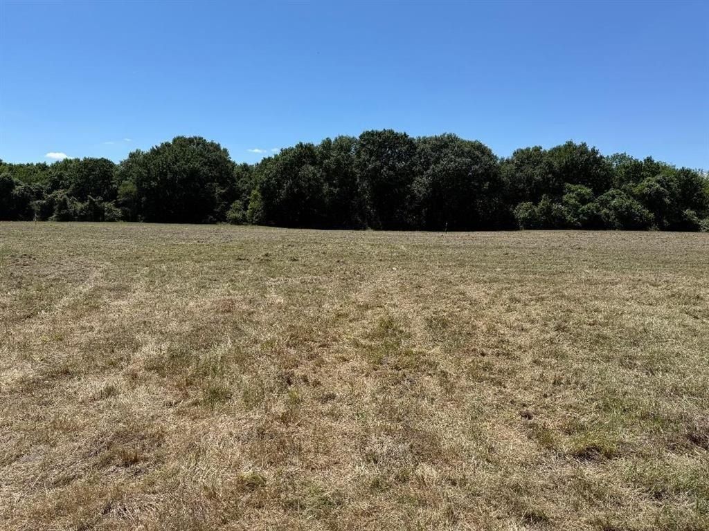 Tbd Lot 4 Cr 4072. Kemp, TX 75143