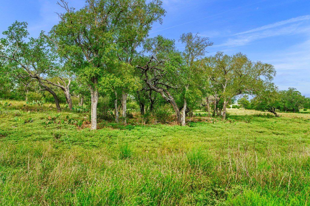 Axis Circle Lot 98. Fredericksburg, TX 78624