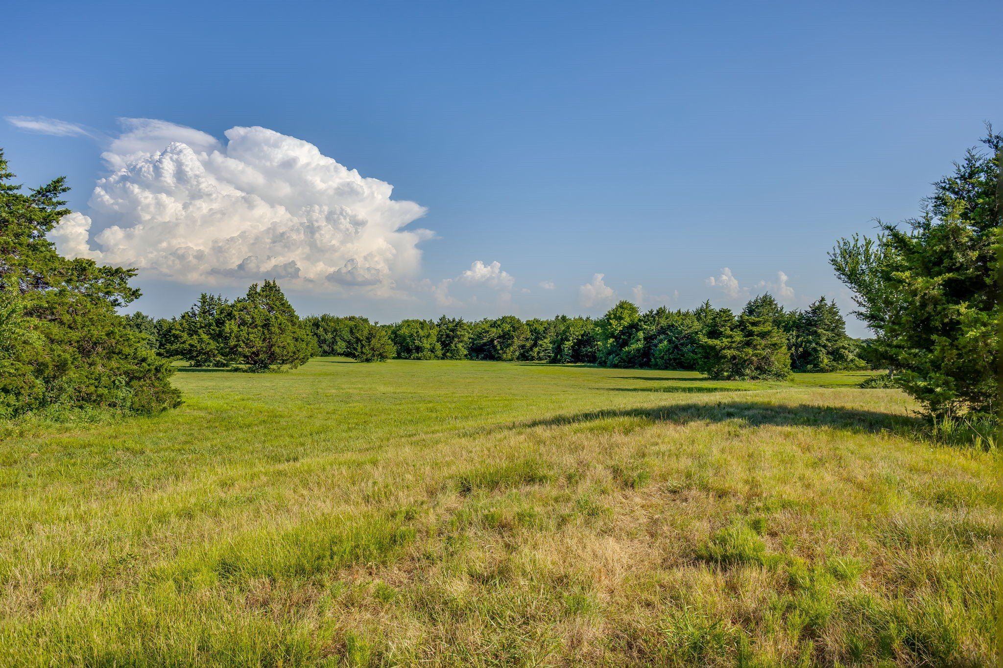 1778 County Road 217. Collinsville, TX 76233