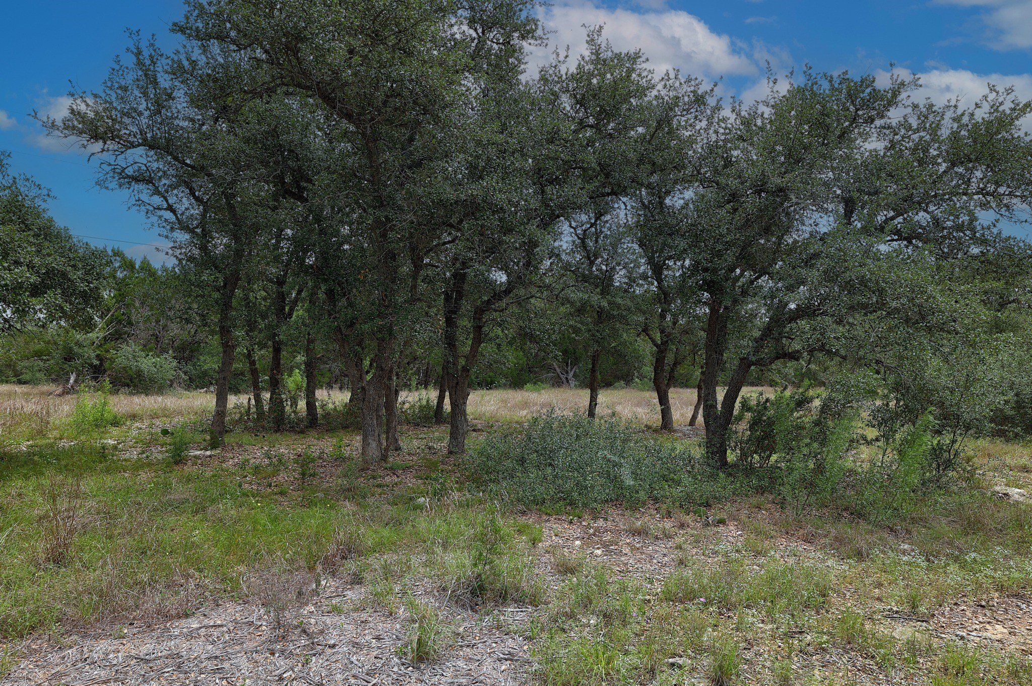 1400 Panthercreek Road. Driftwood, TX 78619