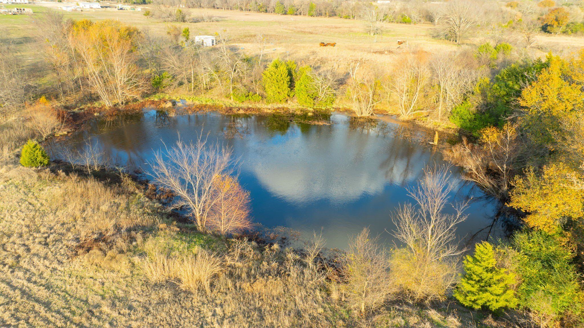 1495 Vz Cr 3908. Wills Point, TX 75169